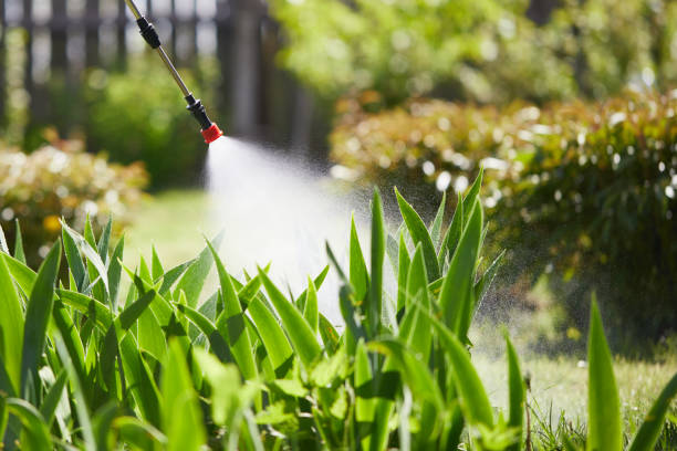 24/7 Emergency Termite Control experts in Lemmon, SD